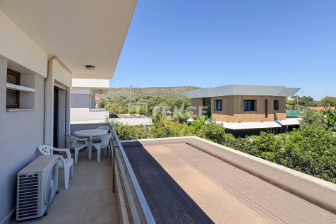 Property Image 42