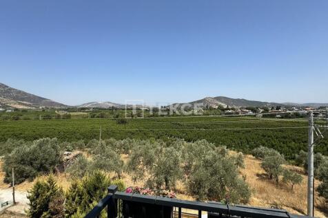 Property Image 46