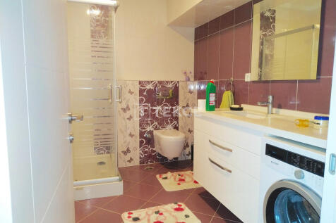 Property Image 61