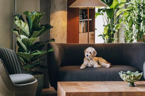 Resident Lounge