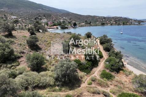 Property Image 39