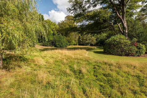 Grounds