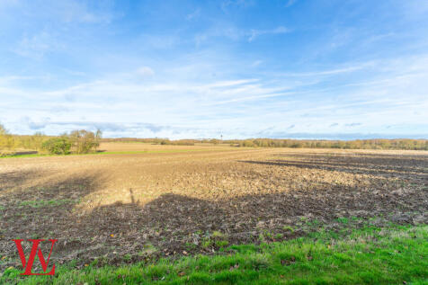 Field Views