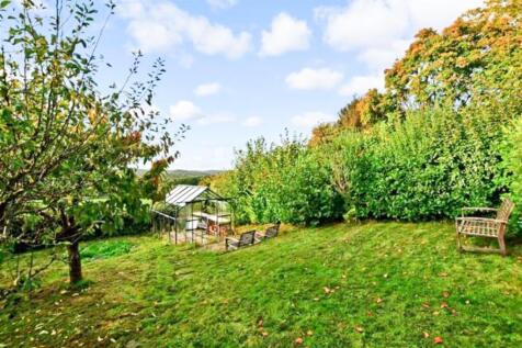 garden2.jpg