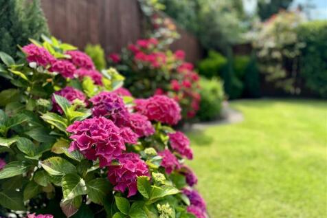 Rear garden