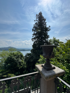 Terrace views