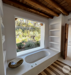 Bathtub view