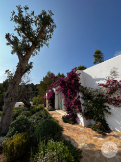 Villa gardens