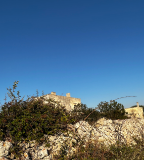 Masseria