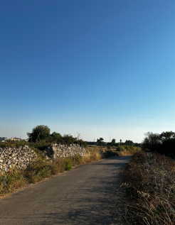 Road access view
