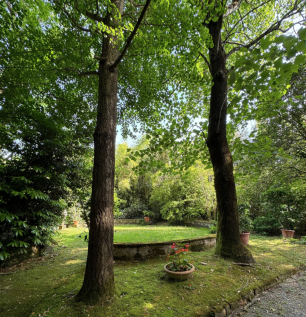 Secluded gardens