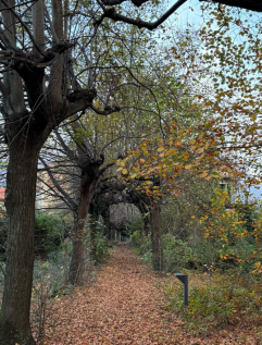 Gardens