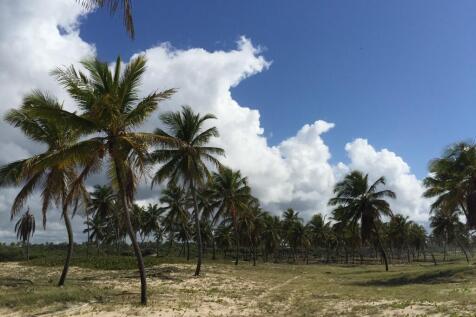 land view