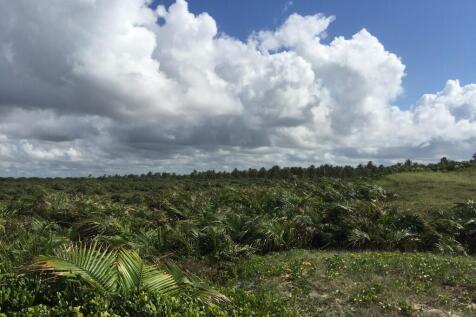 Land view