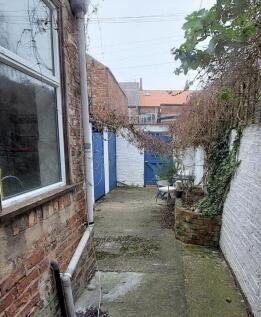 Rear Yard