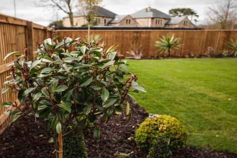 Typical Garden 