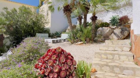 Property Image 38