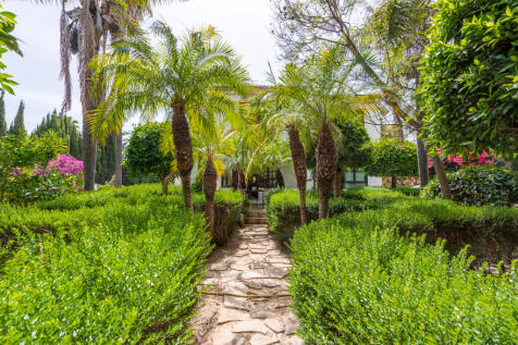 Property Image 26