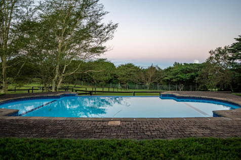 Large sparkling swimming pool