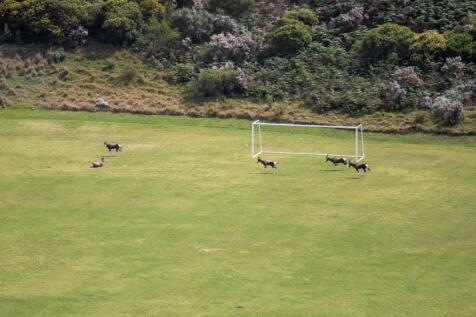 See we can play soccer