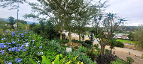 FRONT GARDEN