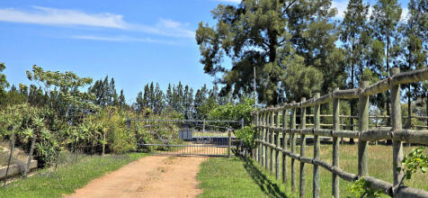 Entrance Gate