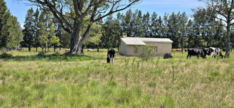 Laborer Cottage