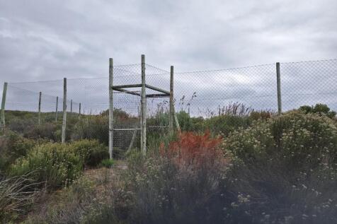 Monkey enclosures