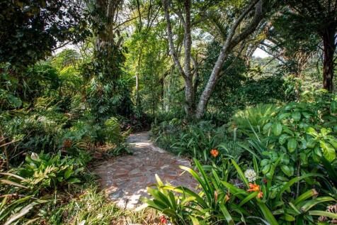 Pathway leading to meandering stream