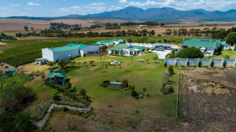 Property Image 6