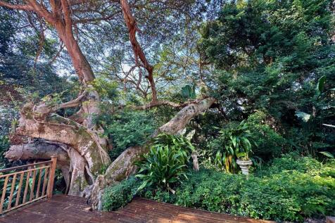 Property Image 60