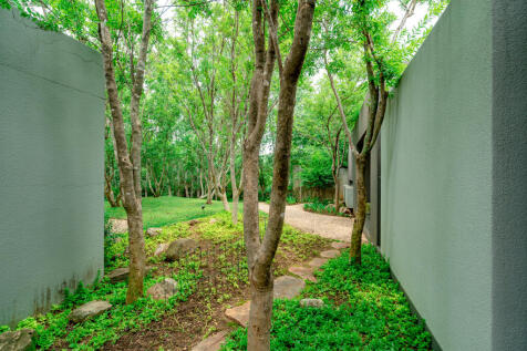 Office Garden