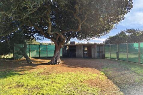 Campsite 2