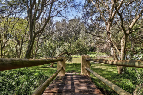 River Path
