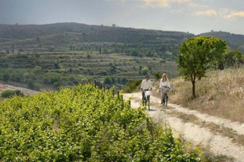 Nature_vineyards