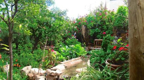 Property Image 27