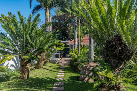 Property Image 43