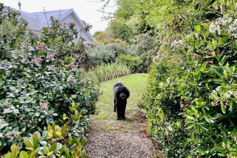 Property Image 39