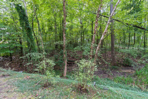 Property Image 85
