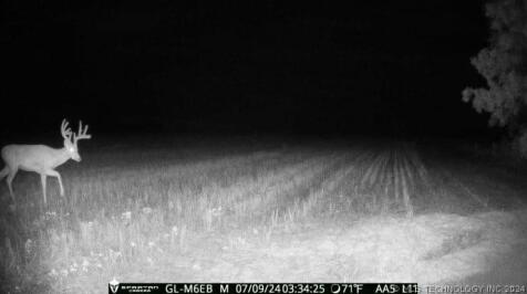 Property Image 64