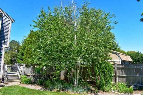 Property Image 56