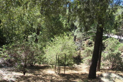 Property Image 53