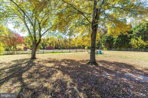 Property Image 82