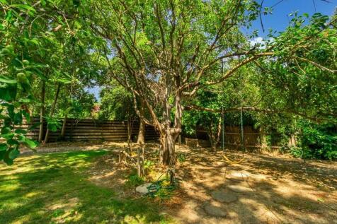 Property Image 37