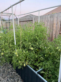 Property Image 54