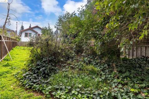 Property Image 51