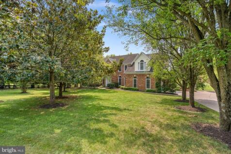 Property Image 117