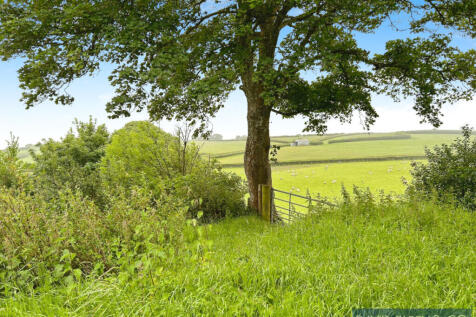 Cottage with Land