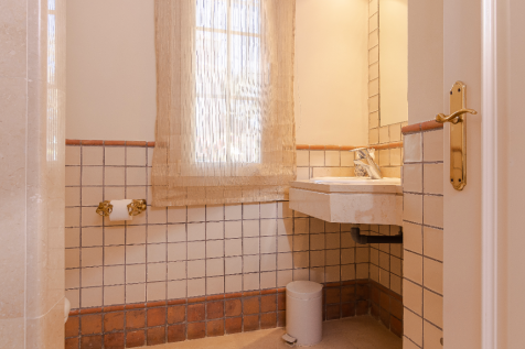 Guest bathroom