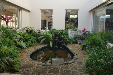 Fish Pond